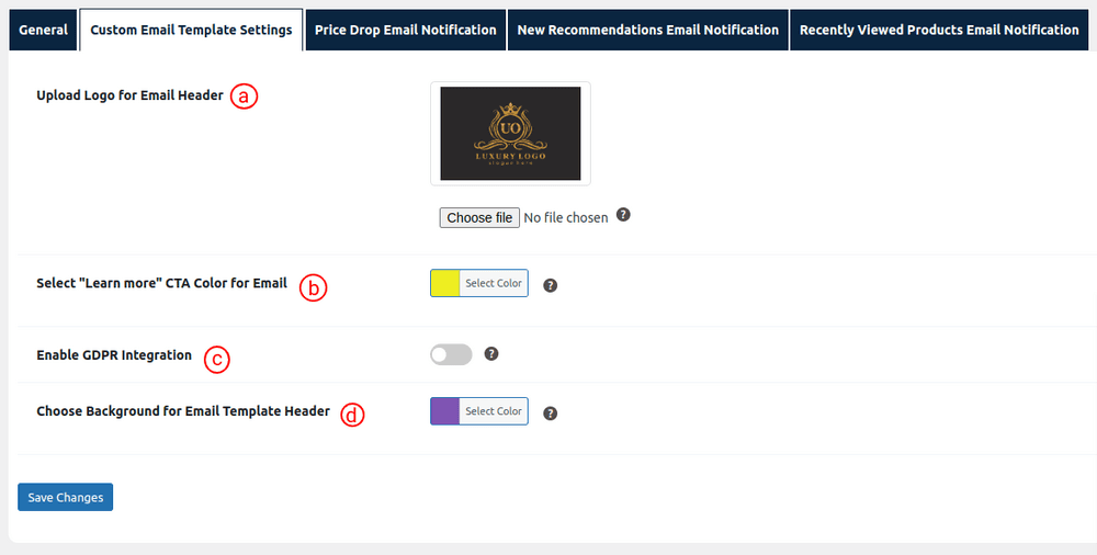 Setting Up Options to Customize email Template